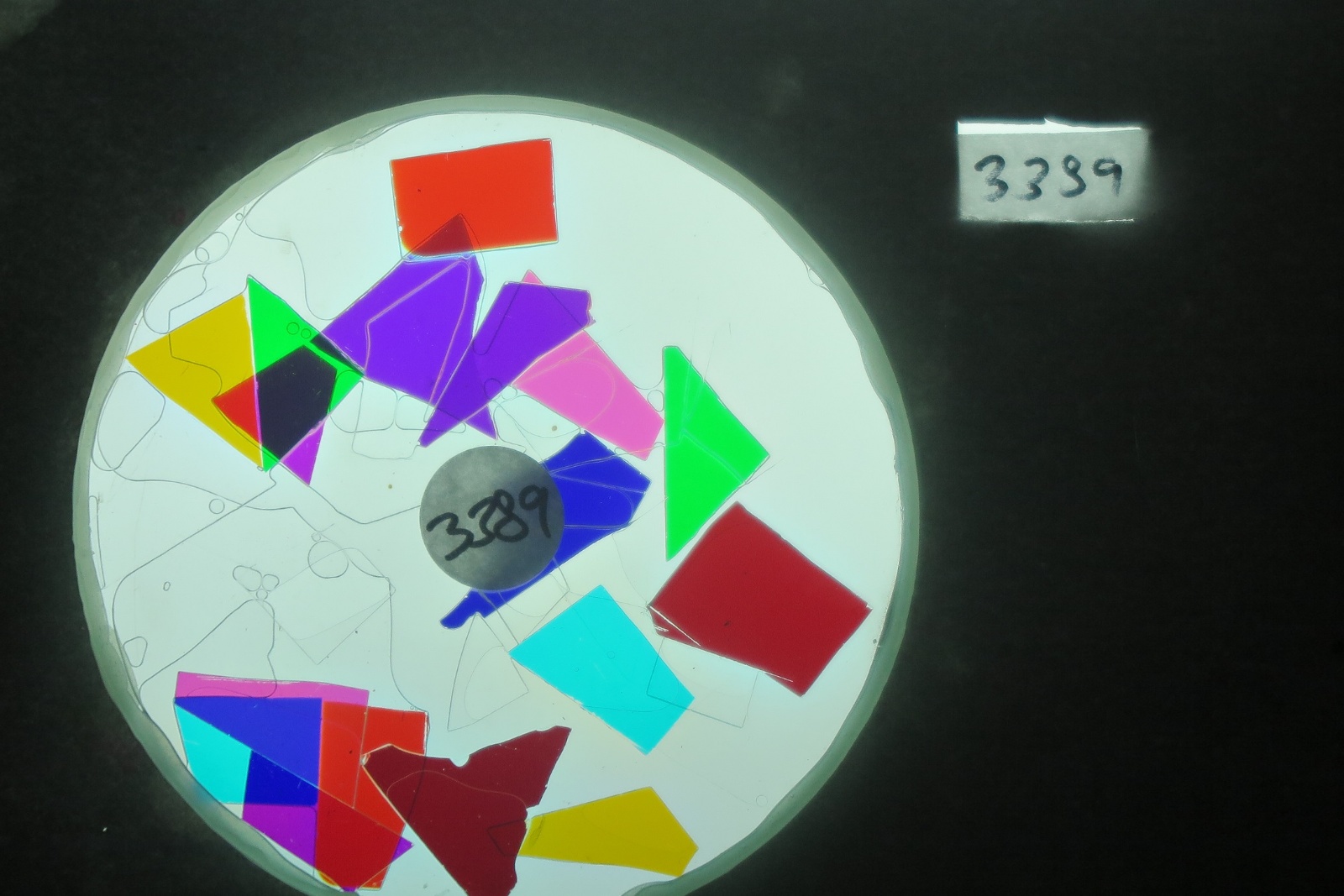 BV3389 bubble vision colour wheel